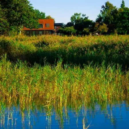 Darssblick Mit Terrasse Und Sauna Holiday home Neuendorf Heide