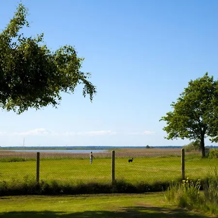 펜션 Darssblick Mit Terrasse Und Sauna