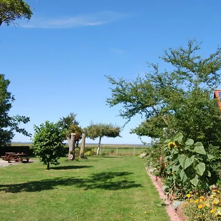 펜션 Darssblick Mit Terrasse Und Sauna Neuendorf Heide