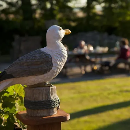 Holiday home Darssblick Mit Terrasse Und Sauna